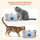 Bebedouro automático para cães e gatos