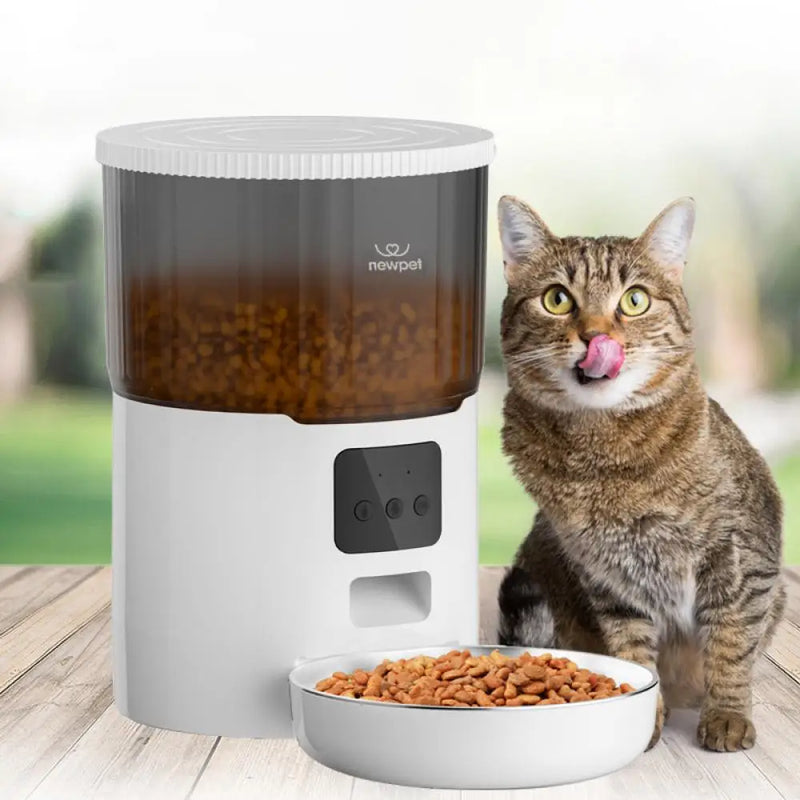 Alimentador automático para cães e gatos